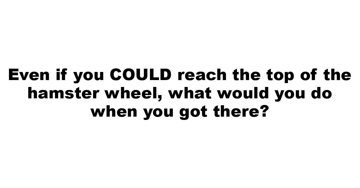 Even if you COULD reach the top of the hamster wheel, what would you do when you got there?