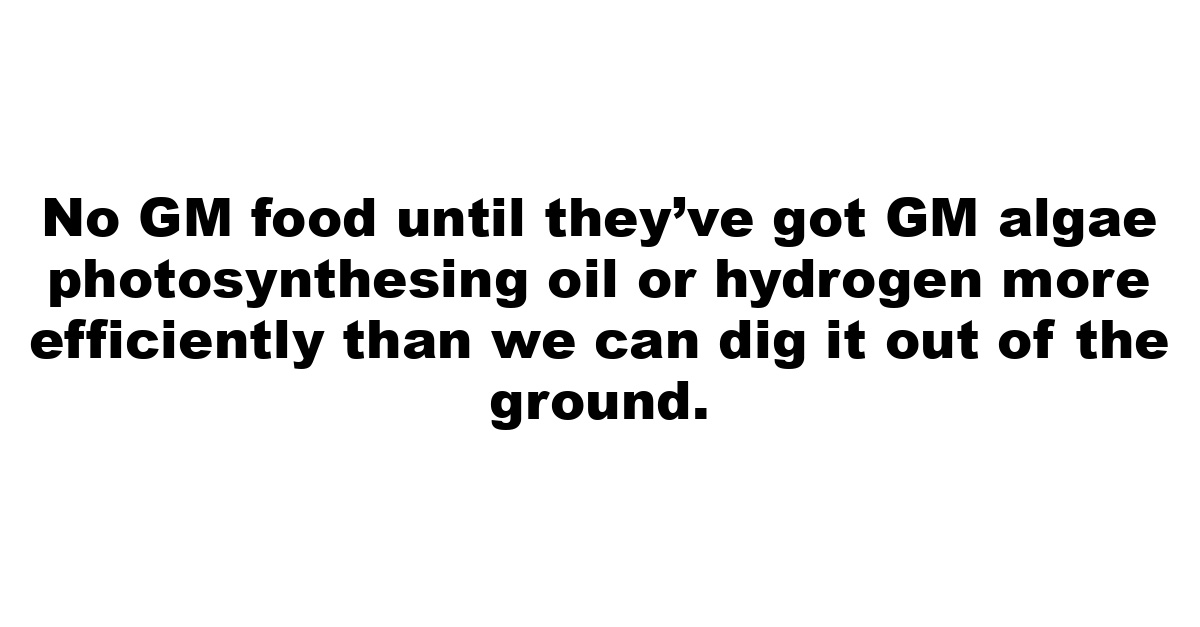 No GM food until they’ve got GM algae photosynthesing oil or hydrogen more efficiently than we can dig it out of the ground.