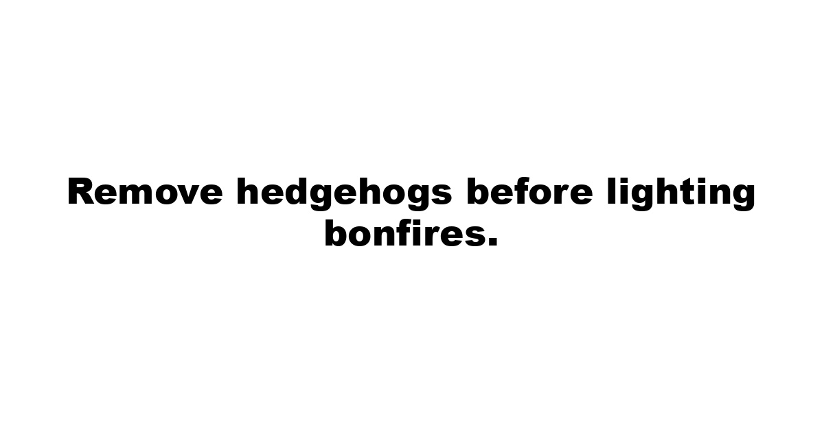 Remove hedgehogs before lighting bonfires.